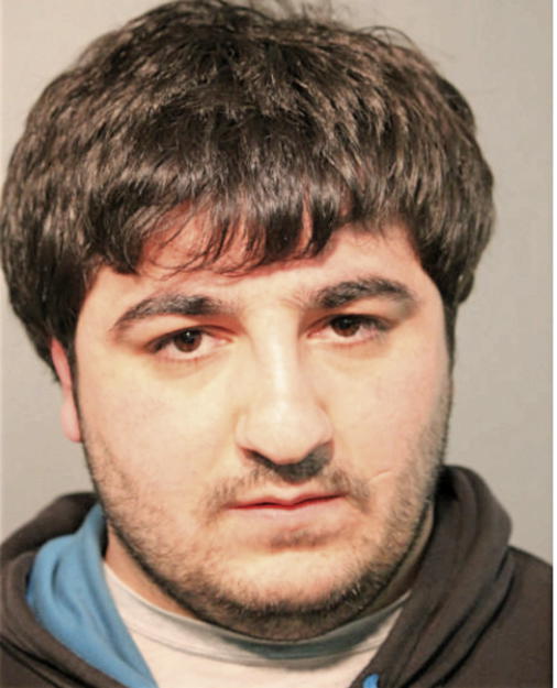 RAMIL MUSAEV, Cook County, Illinois
