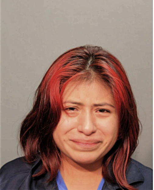 OLIVIA C RAMIREZ-JIMENEZ, Cook County, Illinois