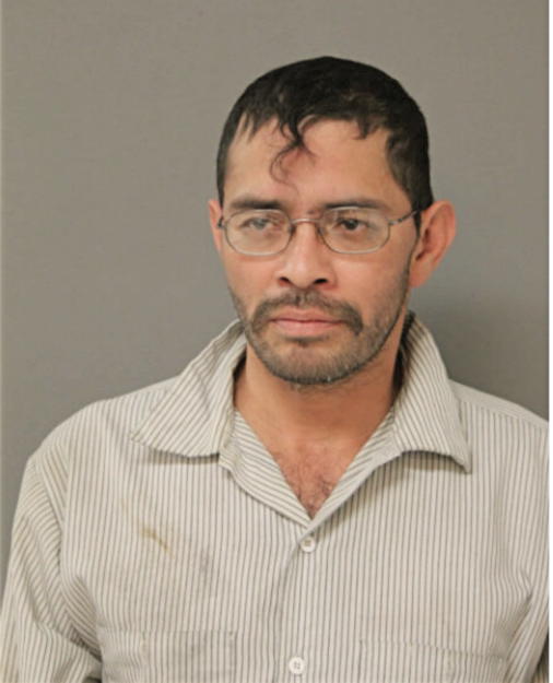 JULIAN J SALGADO, Cook County, Illinois