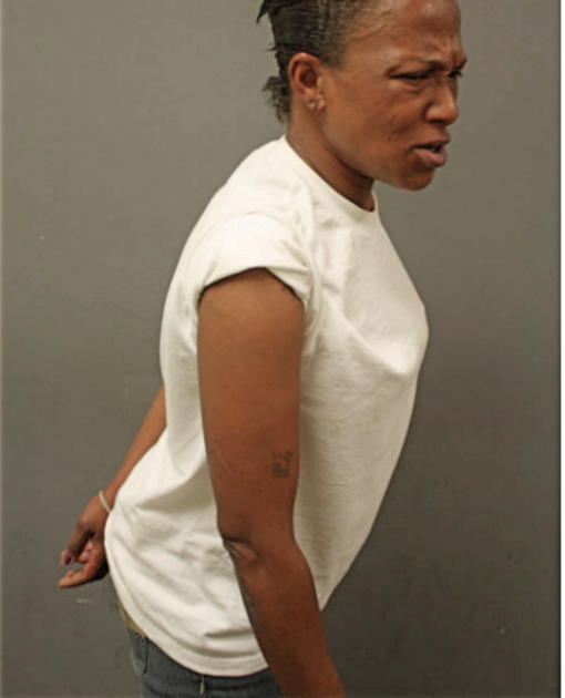 STACY L STIGGER, Cook County, Illinois