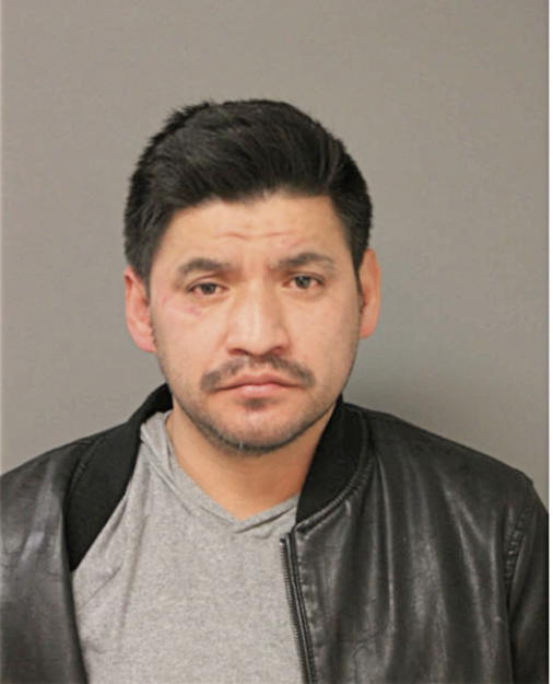 JULIO L VILLA SARMIENTO, Cook County, Illinois