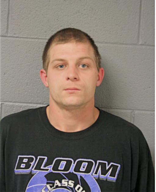 DAVID C YOUNG, Cook County, Illinois
