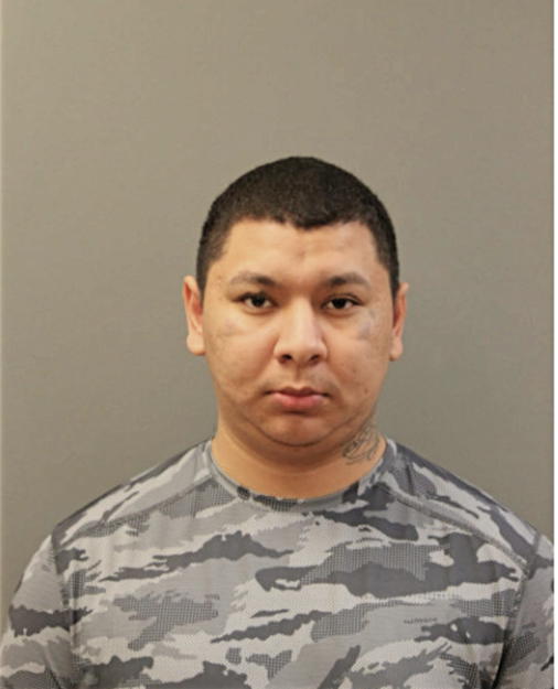 FRANCISCO J ALVARADO, Cook County, Illinois