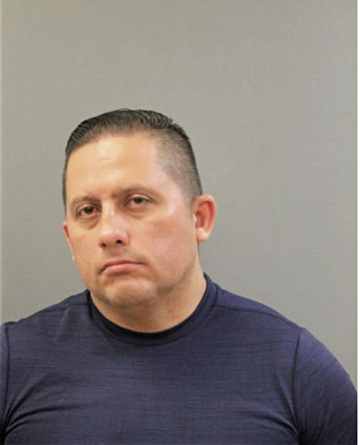 GEORGE J ANDUEZA, Cook County, Illinois