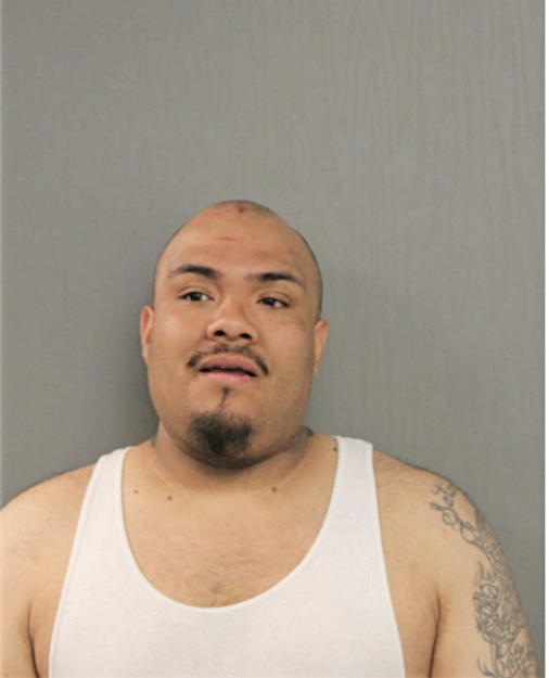 JOSE C ARRIAGA, Cook County, Illinois