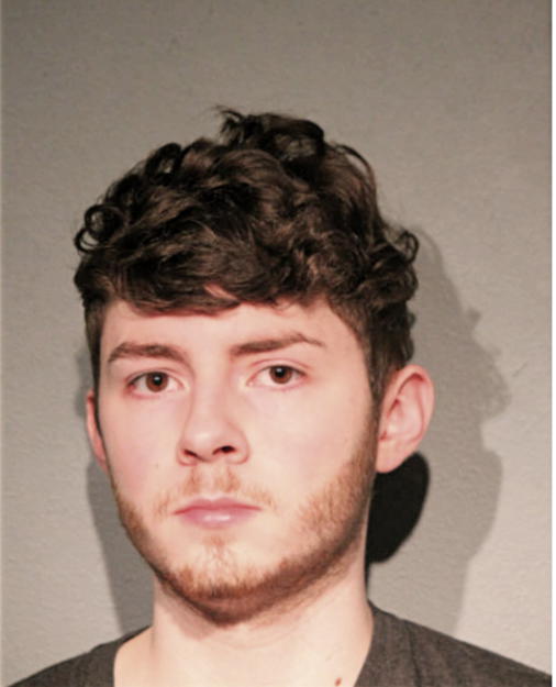 MATTHEW P BRDLIK, Cook County, Illinois