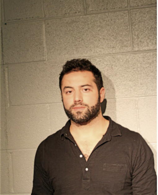 BRANDON L CARONE, Cook County, Illinois