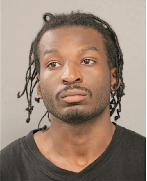 JUSTIN R DAVIS, Cook County, Illinois
