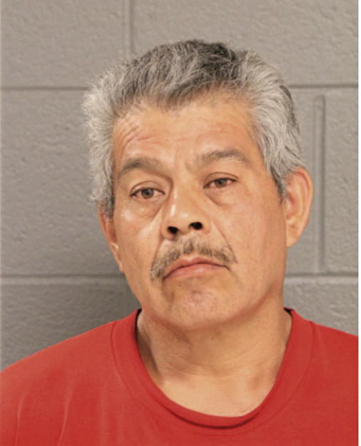 ROBERTO PINA DIAZ, Cook County, Illinois
