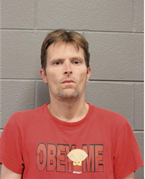 PIOTR G GAWRONSKI, Cook County, Illinois
