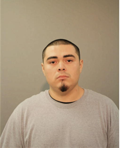 IVAN BEDER GONZALEZ, Cook County, Illinois