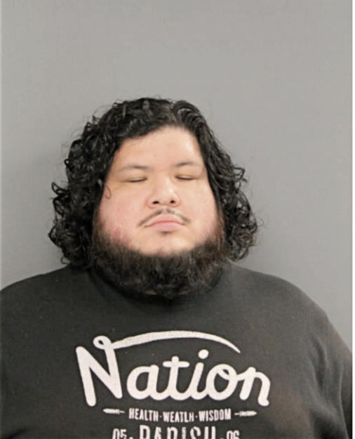 DAVID LOPEZ, Cook County, Illinois