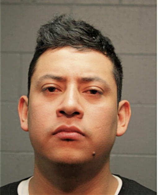 JUAN C MARTINEZ, Cook County, Illinois