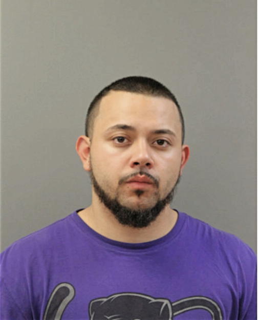 HECTOR M PAGAN, Cook County, Illinois