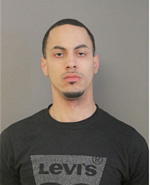 JAMIE L PURCHES, Cook County, Illinois