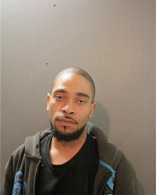 JOHNNIE L RAY, Cook County, Illinois