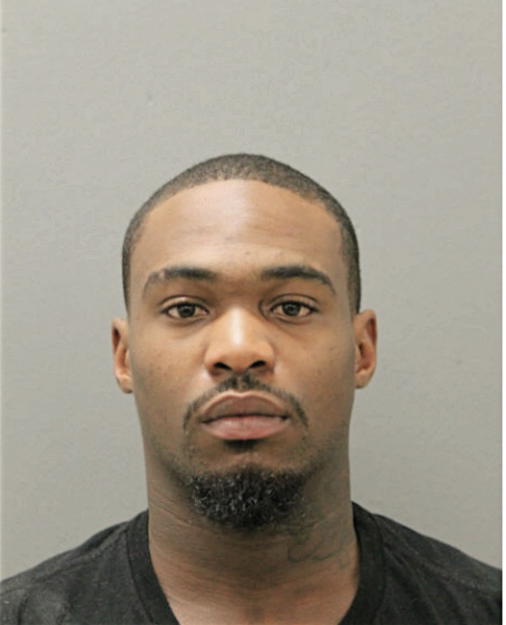 WYMAN J RAYE, Cook County, Illinois