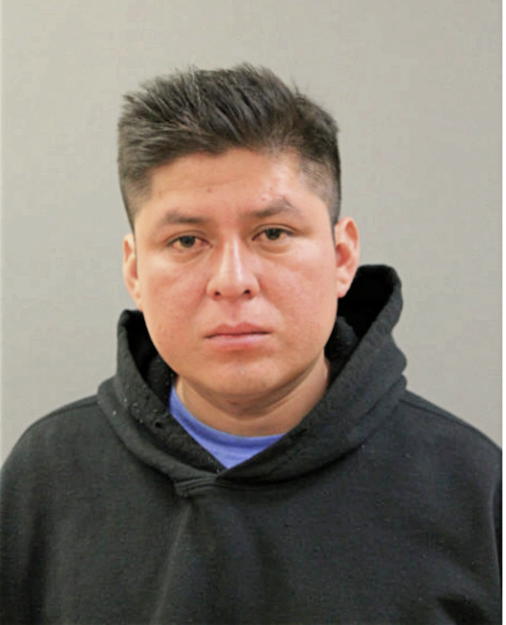 ROLANDO M REYES, Cook County, Illinois