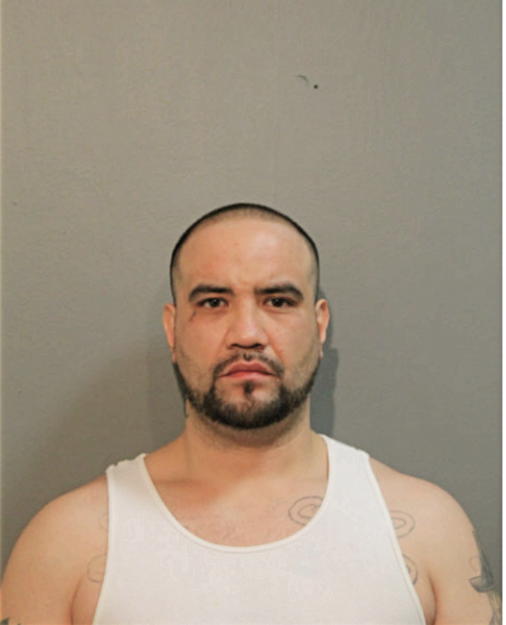 ANTONIO R RICON, Cook County, Illinois