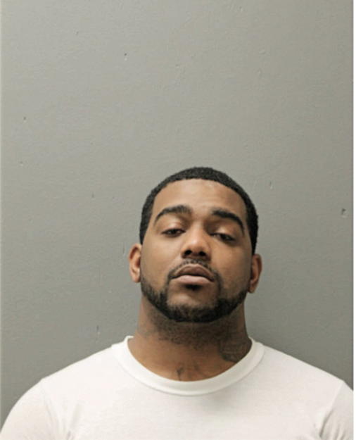 MICHAEL J STEPHENS, Cook County, Illinois