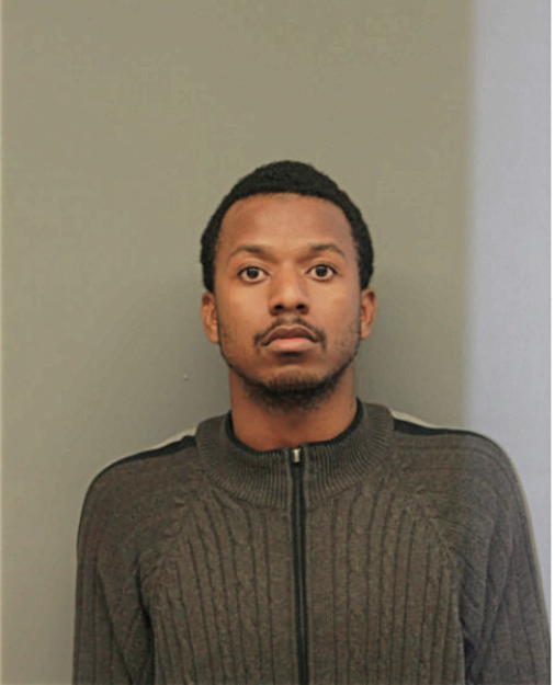 WILLIE E STEWART, Cook County, Illinois