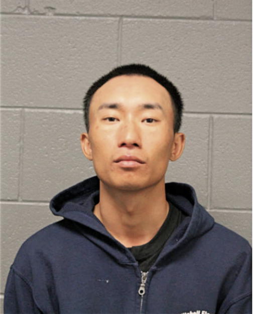 DAVID VANG, Cook County, Illinois