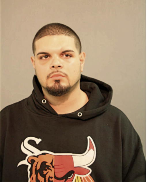 WILLIAM A VICENS, Cook County, Illinois