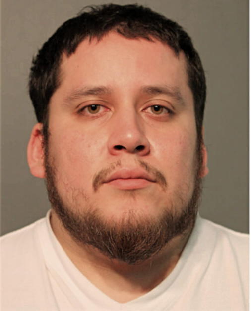 ALEXANDRO ALANIZ, Cook County, Illinois