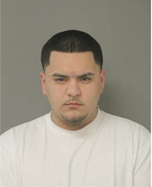 ALEJANDRO ARRELANO, Cook County, Illinois