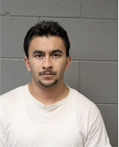 OTONIEL AVILA, Cook County, Illinois