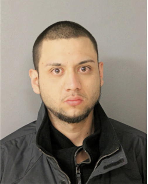 BHAYAN L BERMUDEZ, Cook County, Illinois