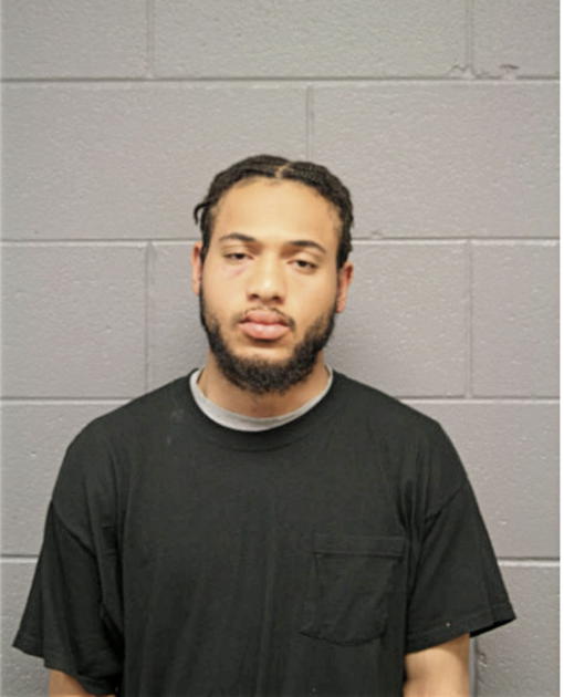 LANDERS E BROWN JR, Cook County, Illinois