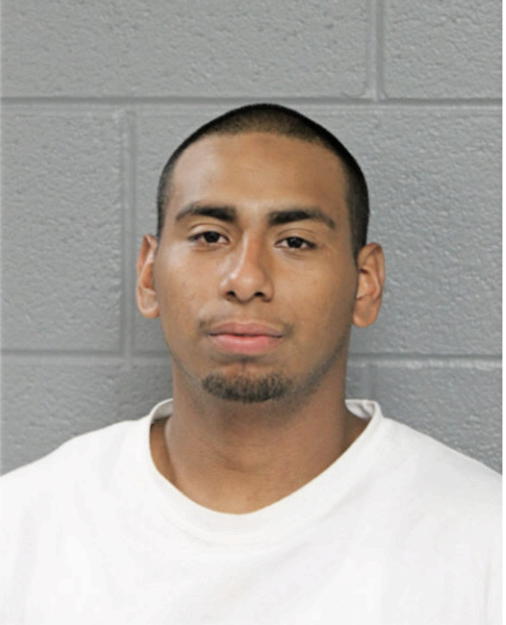 MARIO CALDERON, Cook County, Illinois