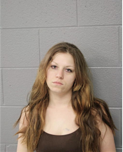EMILY R DIXON, Cook County, Illinois