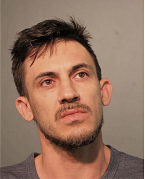 SHANE M FINN, Cook County, Illinois