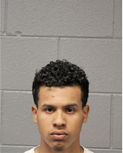 MARIO J FLORES, Cook County, Illinois