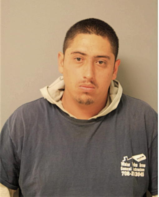 LUIS GARCIA, Cook County, Illinois