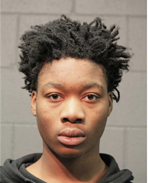 STEVEN D GLASS, Cook County, Illinois