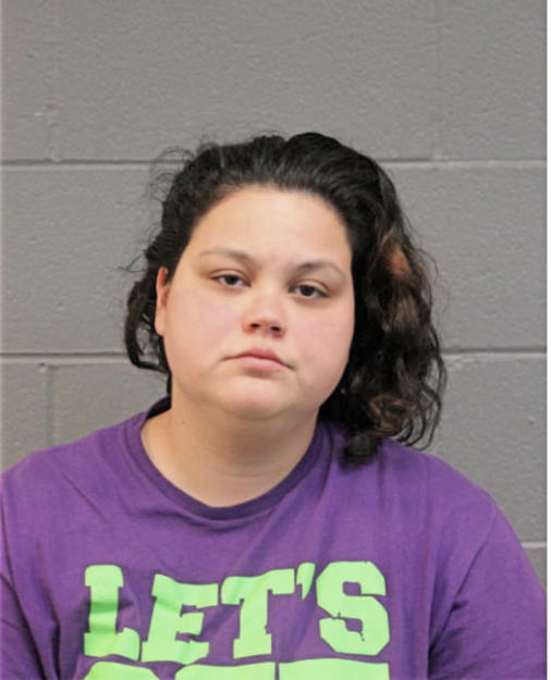 CHRISTINA N GUANAJUATO, Cook County, Illinois
