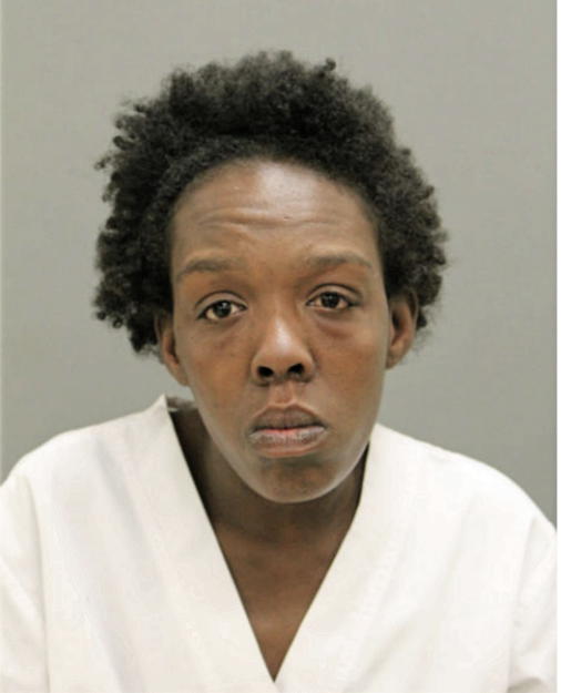 IVY E LIGHTFOOT, Cook County, Illinois