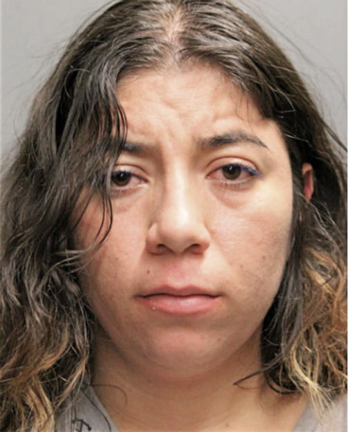ERIKA NUNEZ-ARCINIEGA, Cook County, Illinois