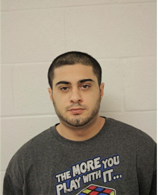 MICHAEL P ALIBHAI, Cook County, Illinois