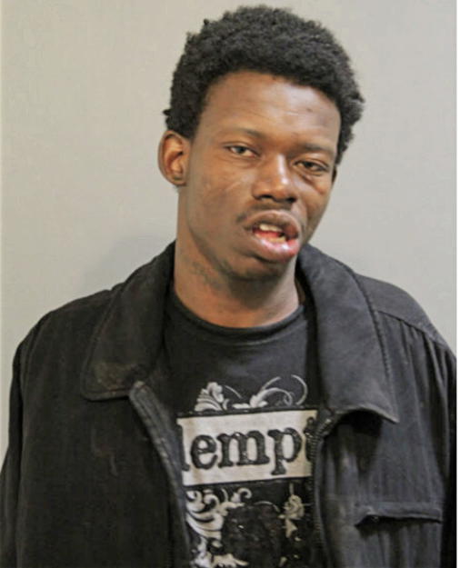 RASHAE T PARKS, Cook County, Illinois