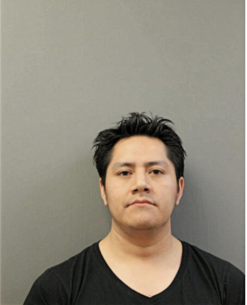 ALEXANDRO PUACAR, Cook County, Illinois