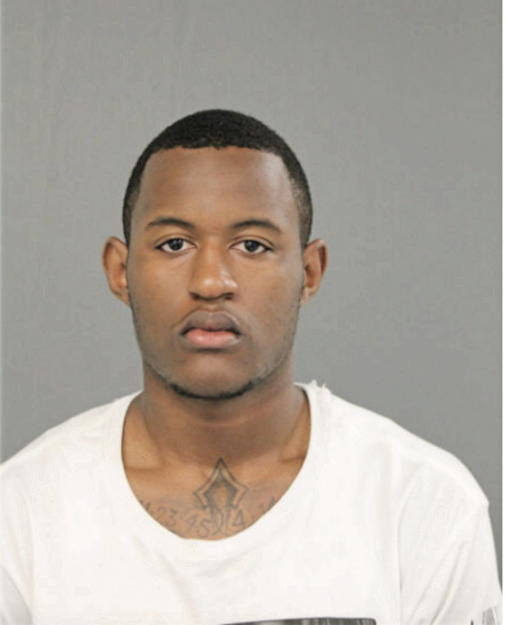 TRENT L STEPHENS, Cook County, Illinois