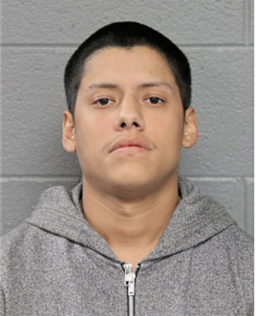 MARTIN TORRES, Cook County, Illinois