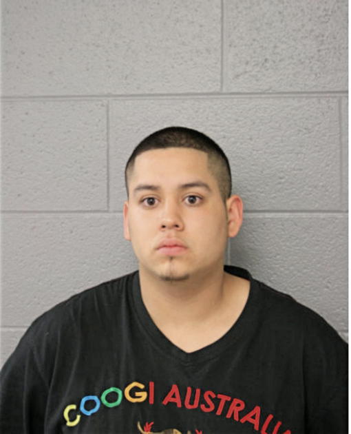 GERARDO A VILLAREAL, Cook County, Illinois