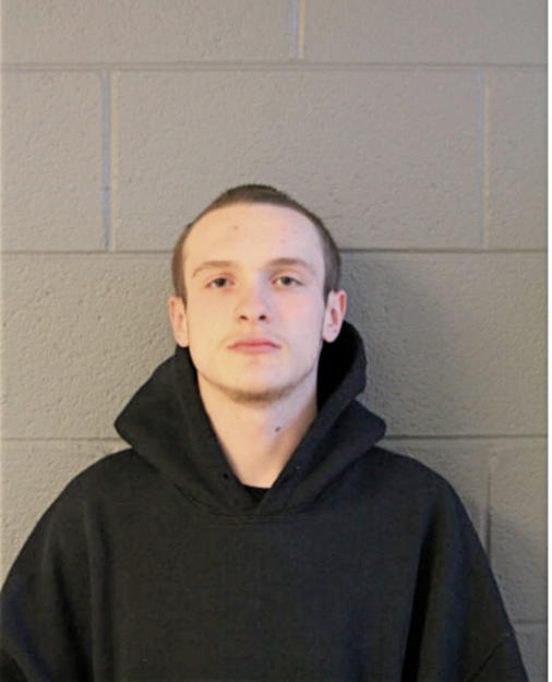 NICHOLAS F VISINAIZ, Cook County, Illinois