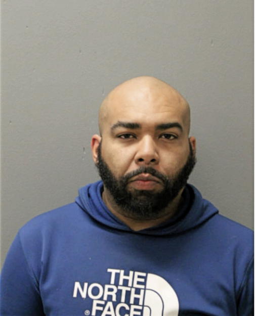 ANTHONY E ADAMS, Cook County, Illinois