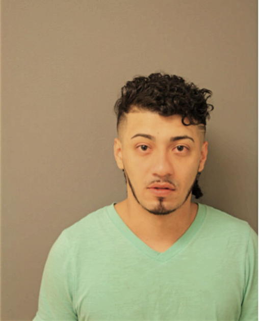 LUIS R AVILEZ, Cook County, Illinois